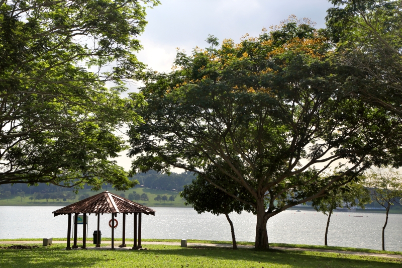 20210323-Bedok Reservoir.jpg