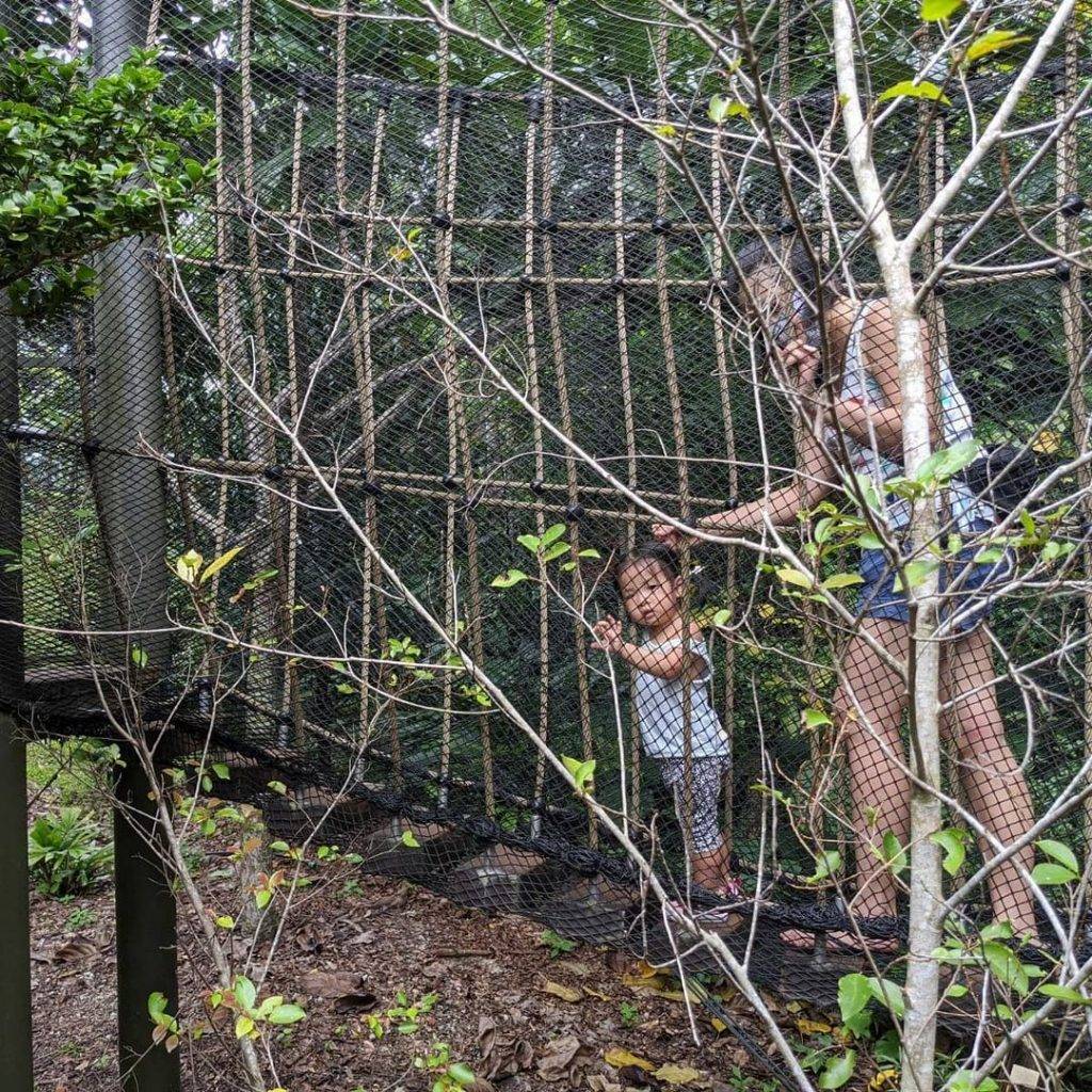 快乐天堂✨ 全亚洲最大儿童花园！花园城市里的一片绿洲🌳 吊桥、树屋、空中漫步，周末撒野去