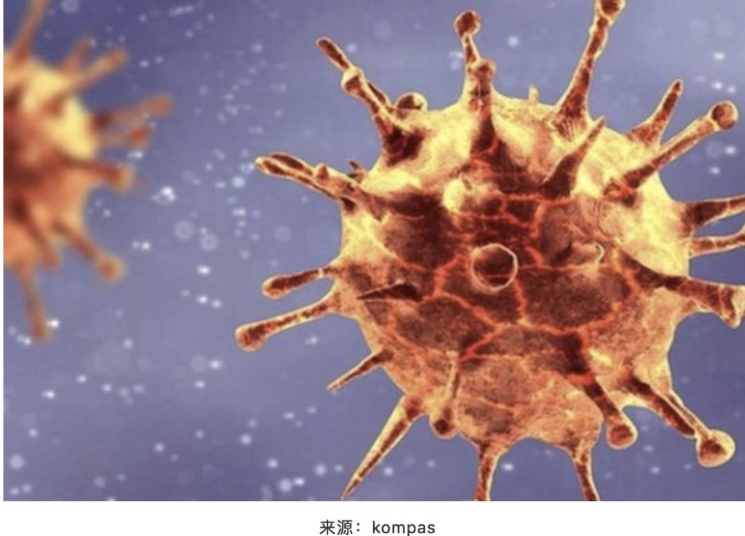 最新规定：这些人来新加坡需隔离14+7天！持准证入境新加坡全攻略