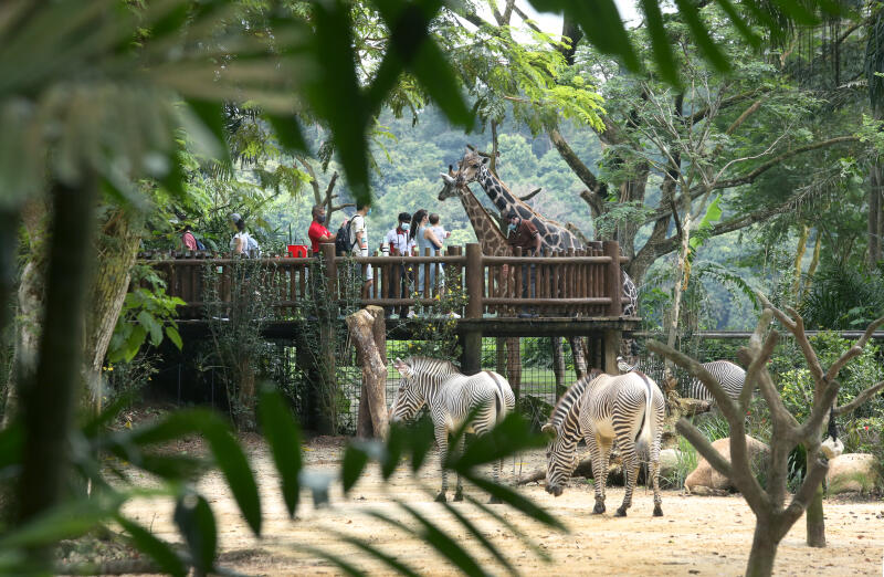 20210406 - Singapore Zoo (ZB).jpg
