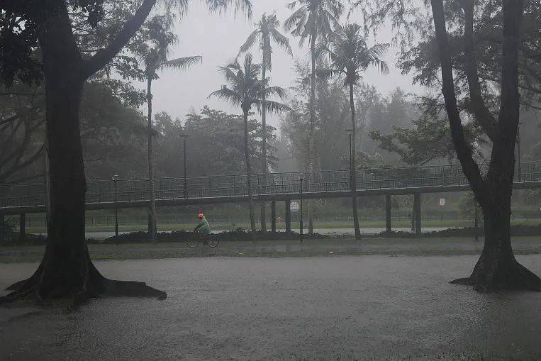 罕见!新加坡圣淘沙这条河变成了粉色,惊现大批死鱼!39年创记录暴雨太作了