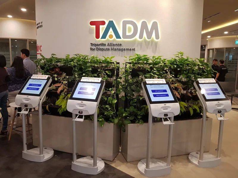 中国女留学生讨薪被掌掴、踢飞!唐人街爆发抗议游行!新加坡也有这种事吗