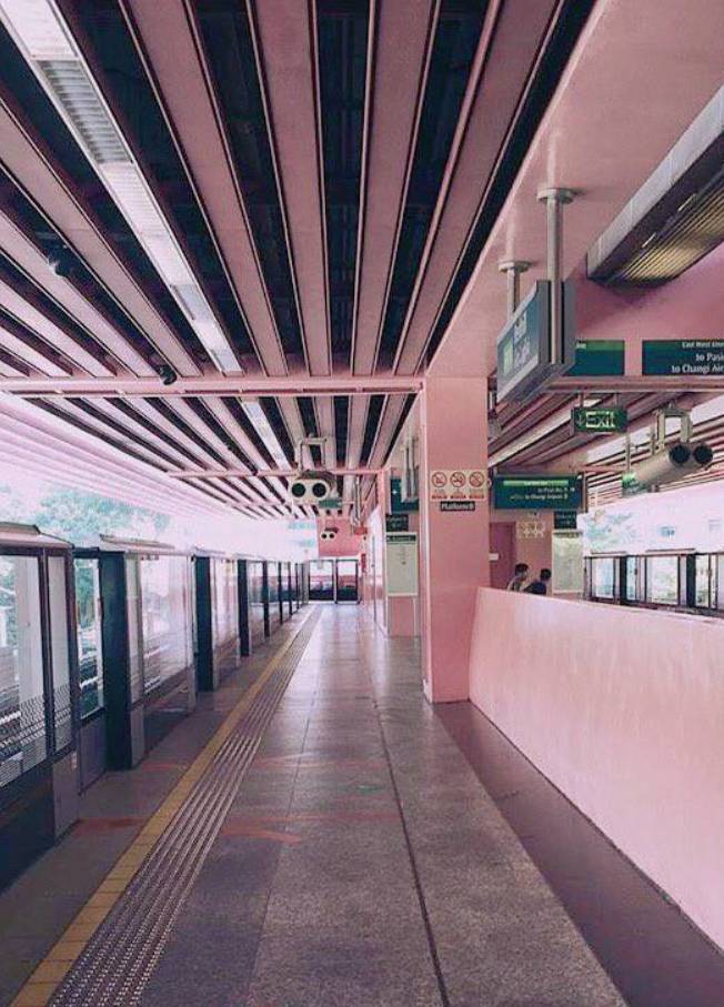 一大波美图来袭~新加坡最美地铁站