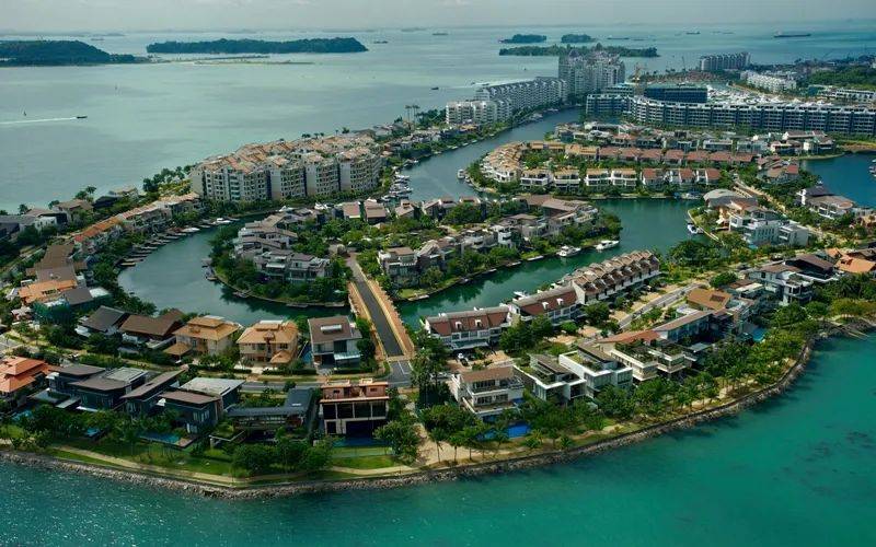 罕见!新加坡圣淘沙这条河变成了粉色,惊现大批死鱼!39年创记录暴雨太作了