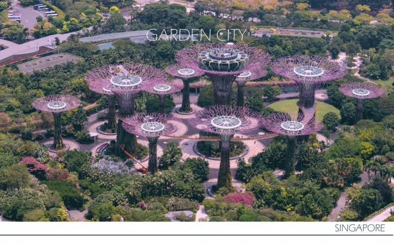 将自然引入城市：新加坡“花园城市”背后的故事