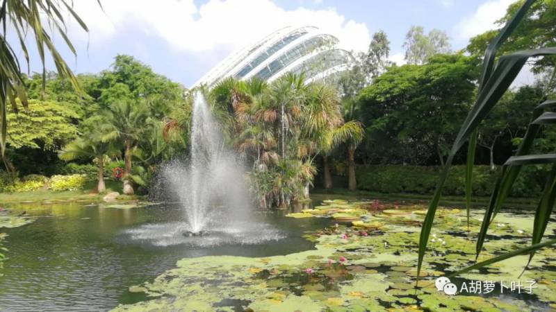 旅行记忆 美丽的新加坡