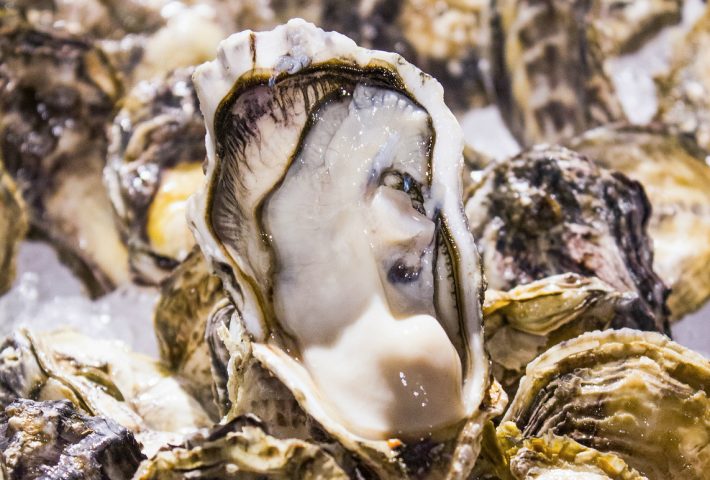 29985531510_84880722c9_h_meitu_4