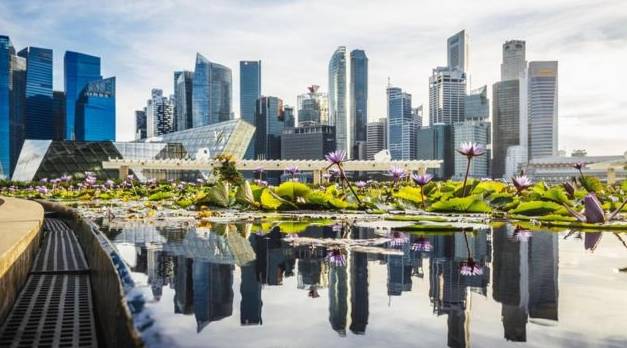 南洋理工大学调查显示：近八成新加坡民众环保意识高