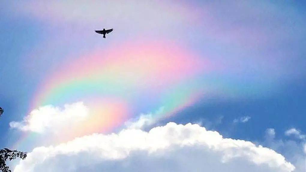 罕见！新加坡再现神奇天象，万道光芒从天空射下，50张美图刷屏