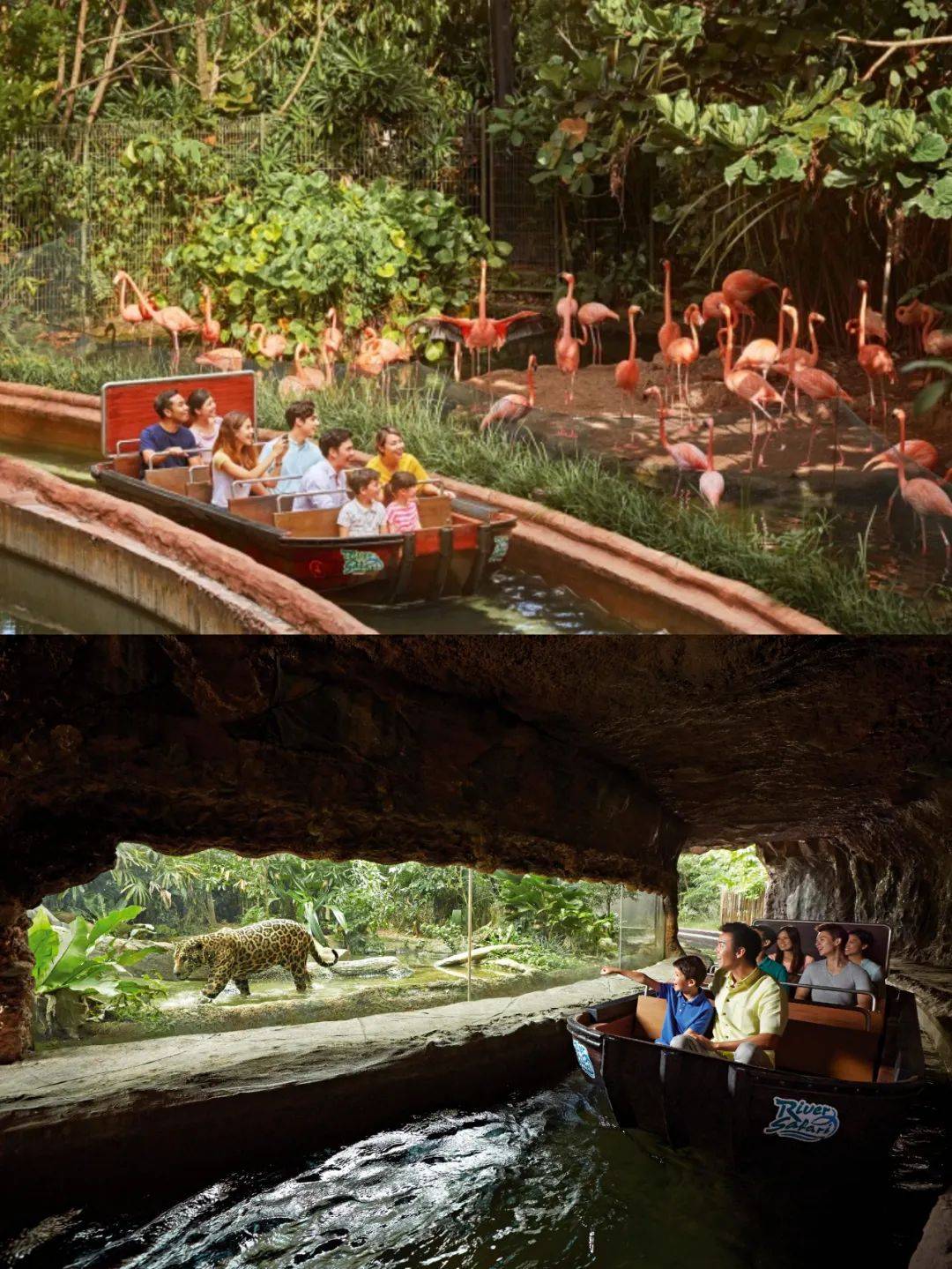 国宝级的客人出席你的新年午宴，有没有猜到是谁来了