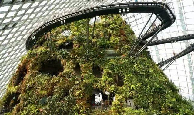 新加坡樟宜机场全方位解读