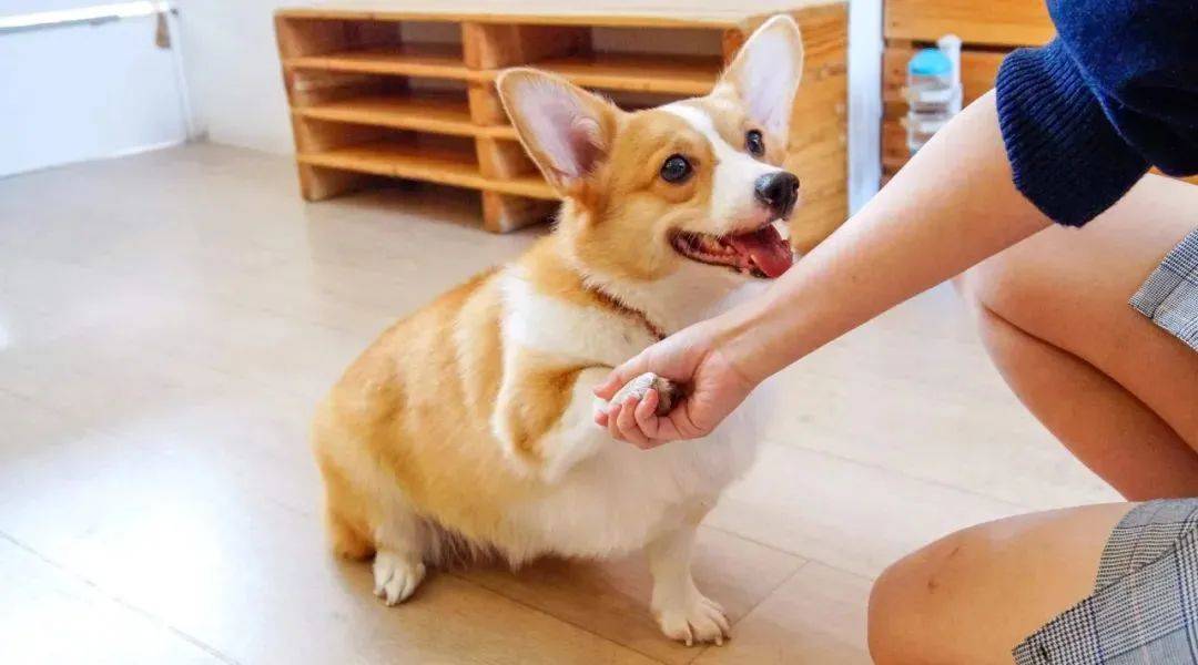 新加坡31个孩子超爱的假期活动+游玩攻略，1分不花也能玩