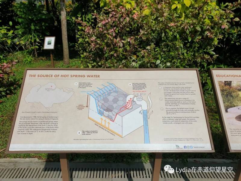 新加坡也有温泉 三巴旺温泉公园