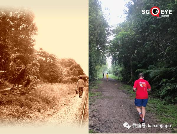 昨天小长假人山人海，武吉知马老铁路成新景点！前生今世大揭秘