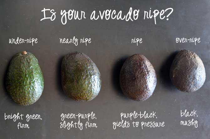 Avocados