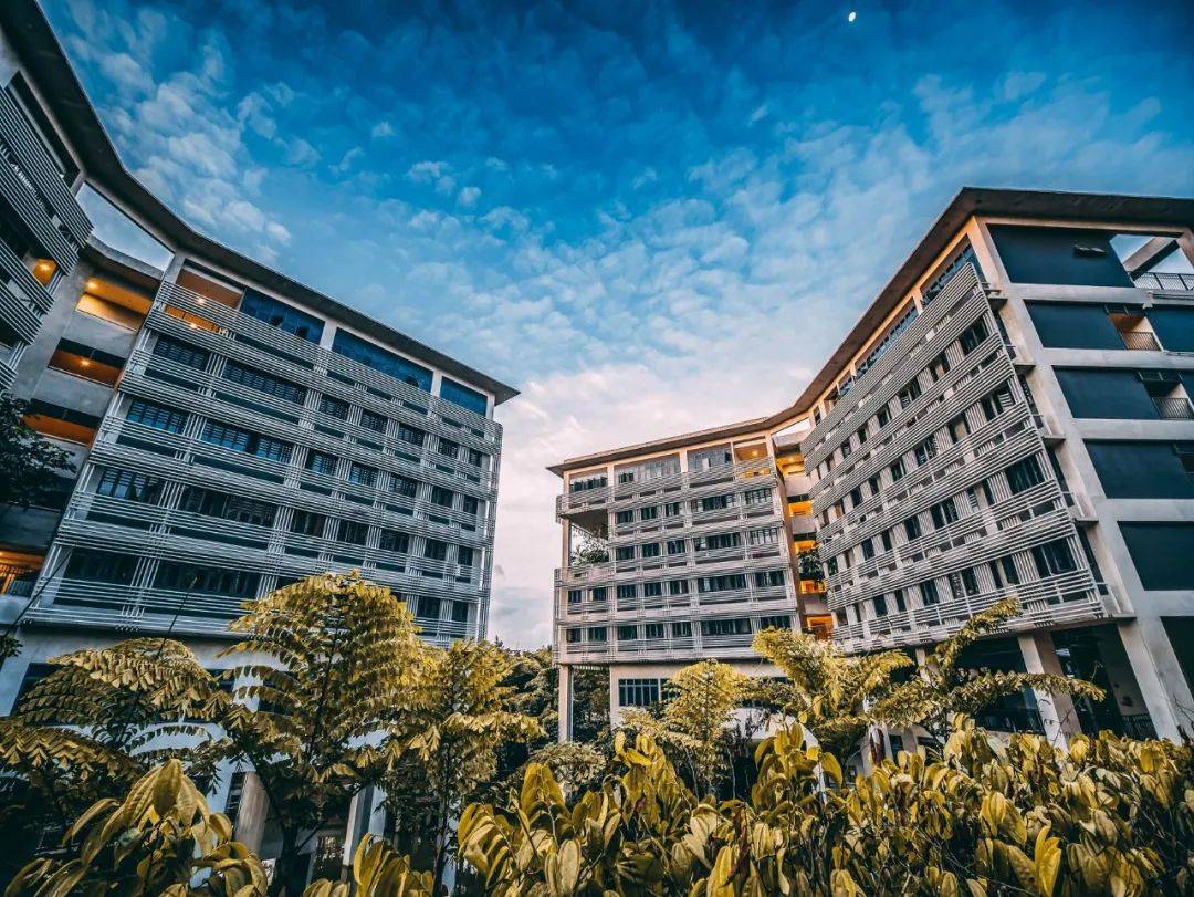 南洋理工大学，每一帧都很美