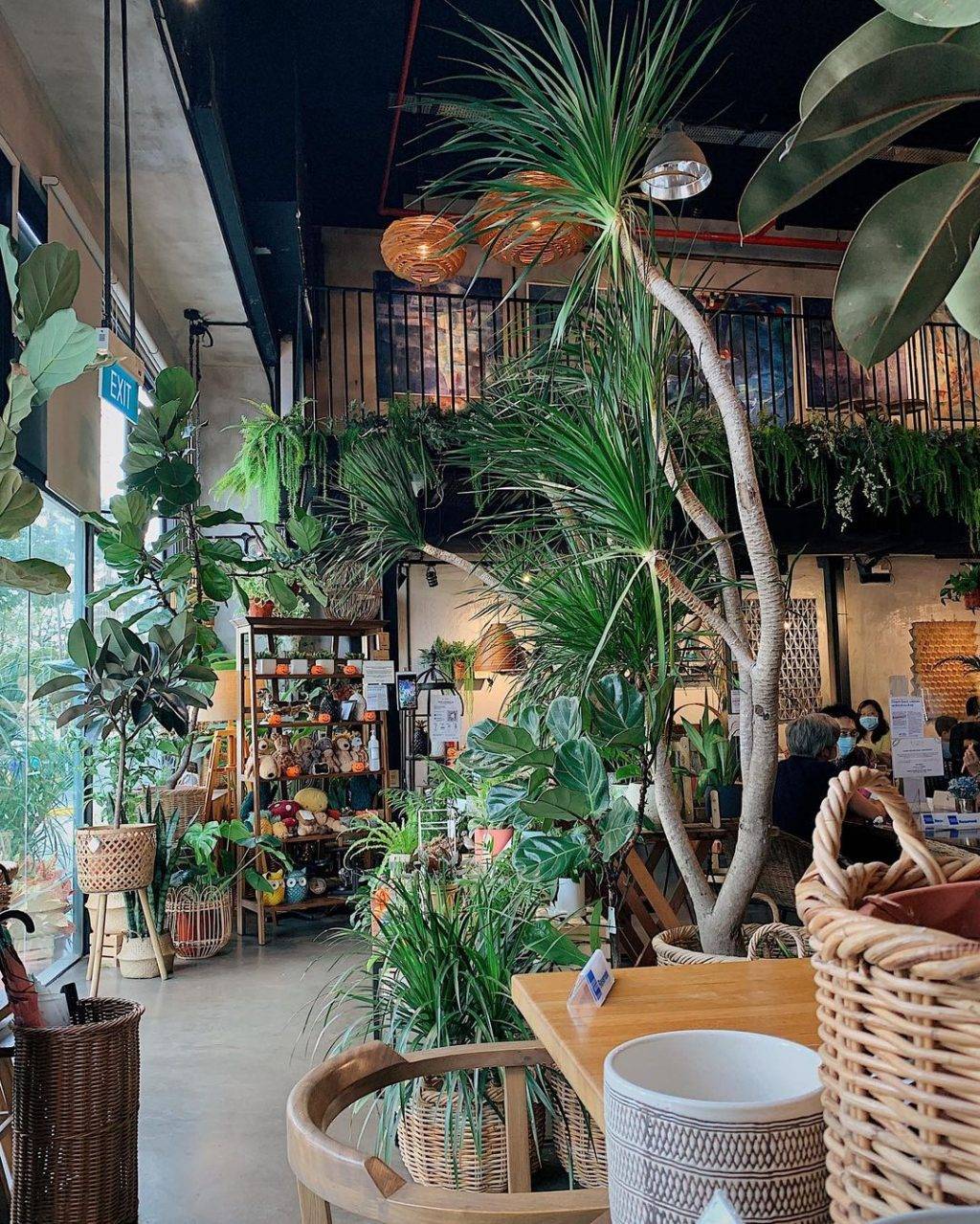 森林花园咖啡馆Knots Cafe & Living🌿被绿植盆栽围绕、置身世外桃源，感受片刻恬静✨