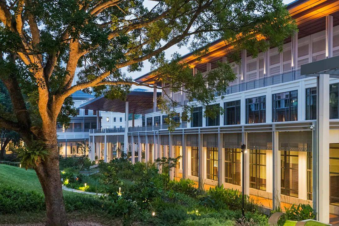 NUS 2020年度成绩单出炉，你还满意吗