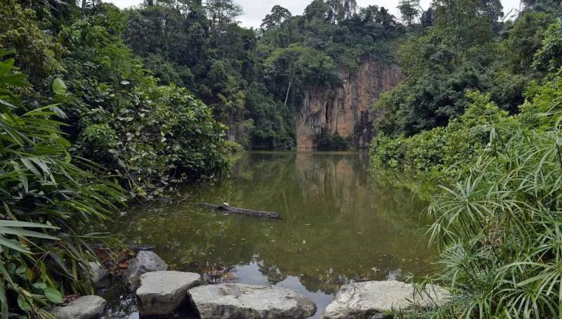 细思恐极！新加坡夜间徒步爱好者声称遇上了“武吉知马猴人”，还拍下了照片