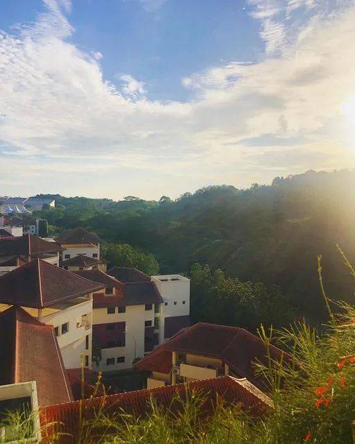 南洋理工大学，每一帧都很美