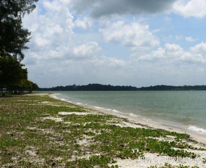 巴西立 Pasir Ris: 新加坡玩乐最强攻略