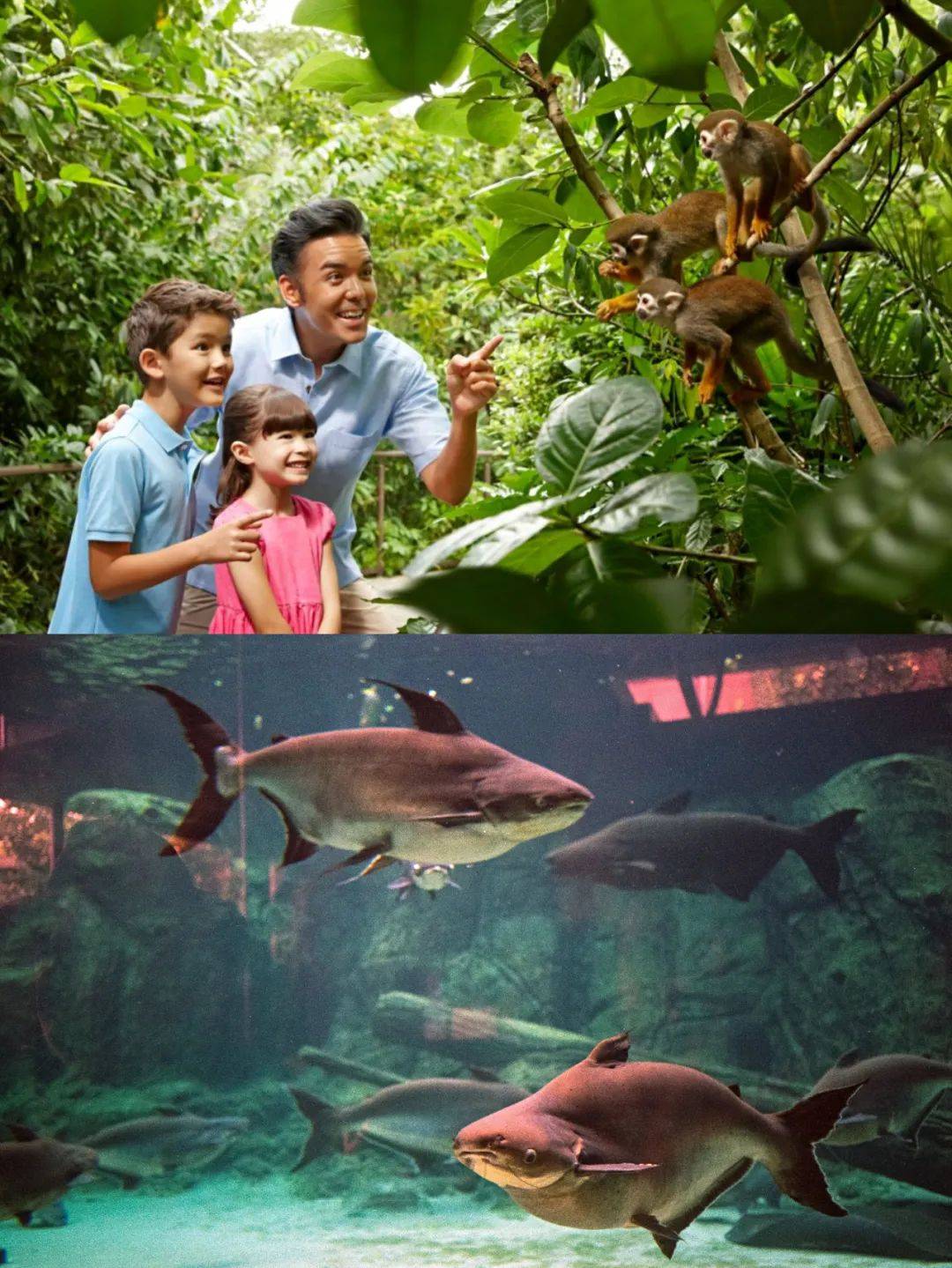 国宝级的客人出席你的新年午宴，有没有猜到是谁来了