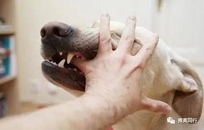 到新加坡旅游留意28条法律,避免踩雷还能省钱,破财事小,坐牢事大