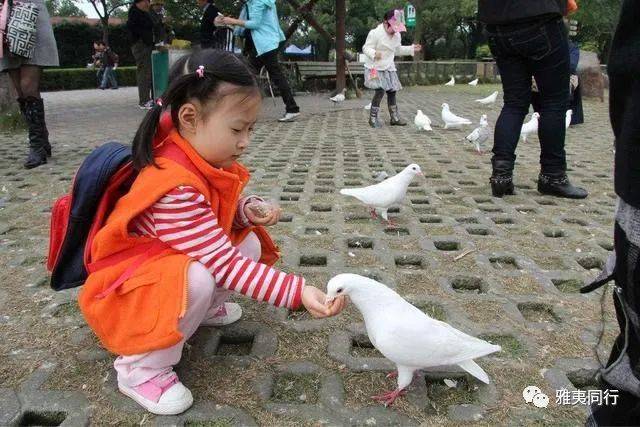 到新加坡旅游留意28条法律,避免踩雷还能省钱,破财事小,坐牢事大