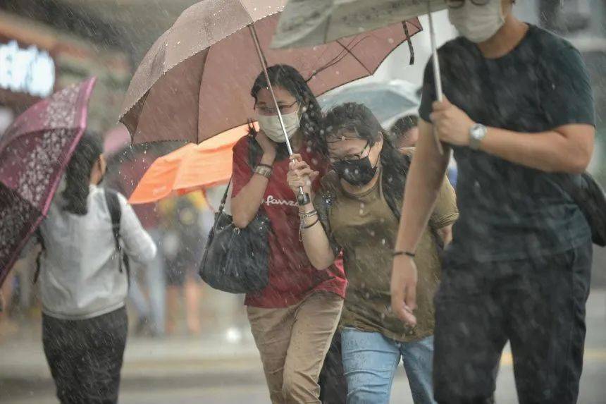罕见!新加坡圣淘沙这条河变成了粉色,惊现大批死鱼!39年创记录暴雨太作了
