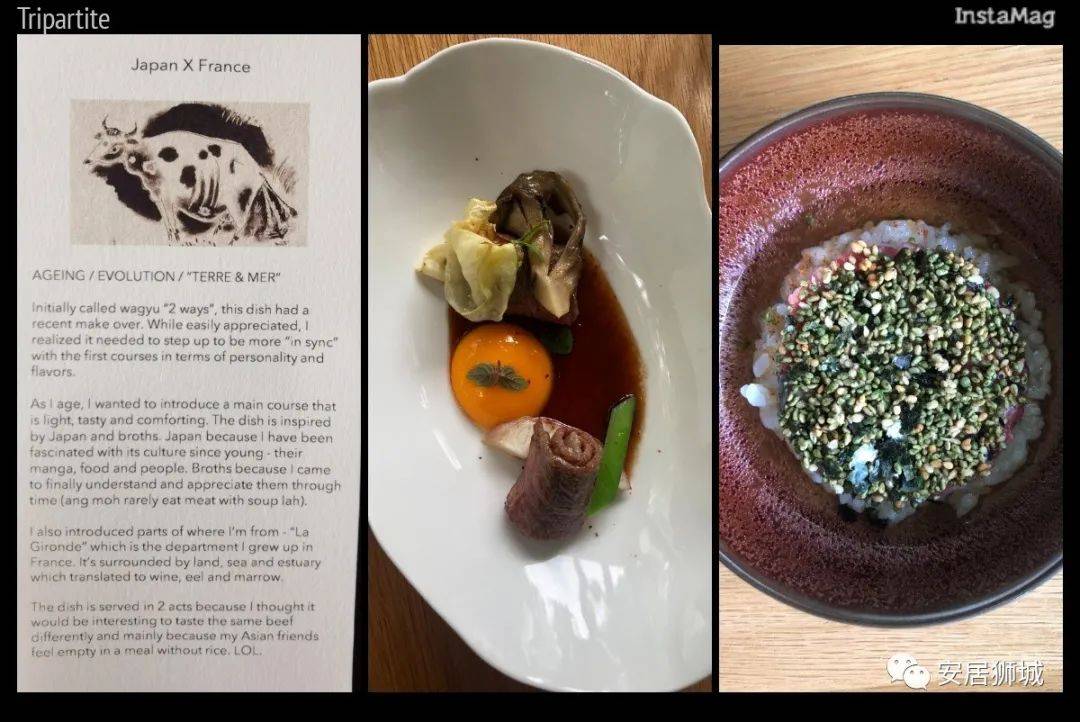 体验新加坡外宾级美食