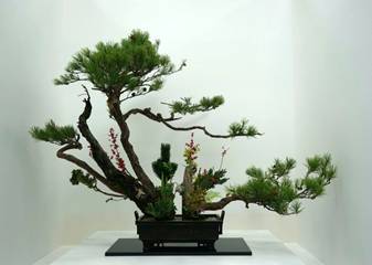 【新加坡留学】不是你不够努力 而是你选择了不同的教育路径