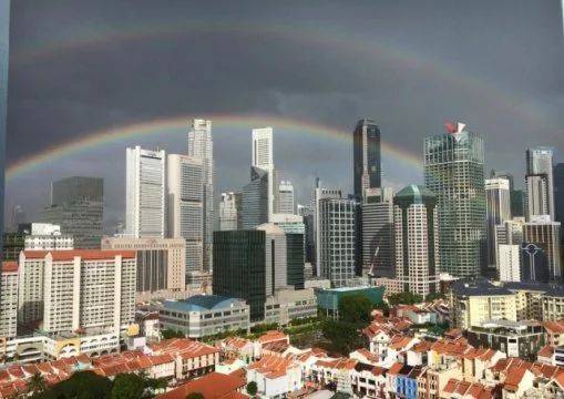 罕见!新加坡圣淘沙这条河变成了粉色,惊现大批死鱼!39年创记录暴雨太作了