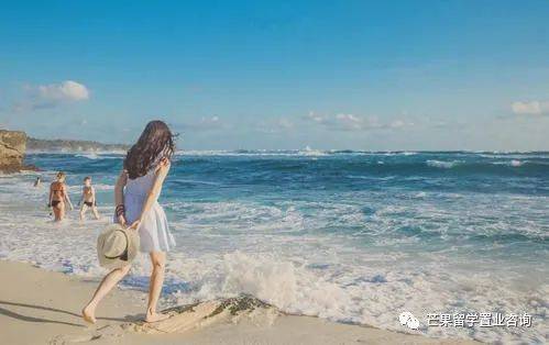 2030年新加坡将变成这样，全岛花园扩建、新建走廊和连道