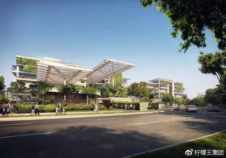 新加坡国际学校可以怎么选呢