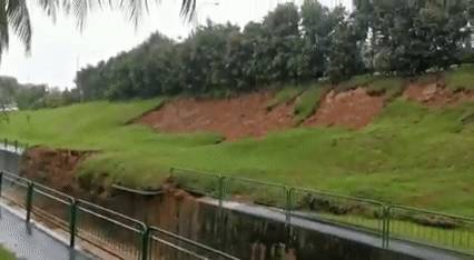 罕见!新加坡圣淘沙这条河变成了粉色,惊现大批死鱼!39年创记录暴雨太作了