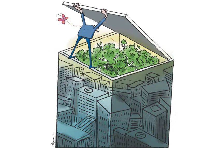 新加坡两处森林将被清理，谁来决定自然保护区的命运