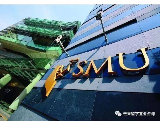 新加坡未来可能最吃香的专业之一