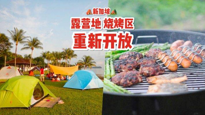 户外活动新选项✨ 新加坡公园烧烤炉&露营区重新开放!内附申请步骤+扎营地推荐