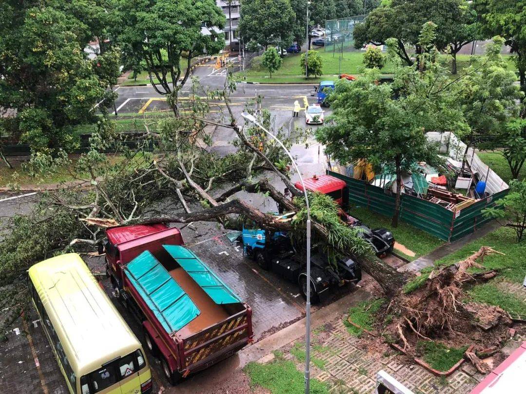 昨天！新加坡遭40年来最强暴雨袭击，全岛多处被洪水淹没，驾车犹如水中行船