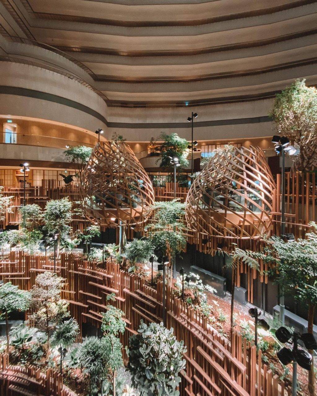 新晋打卡地🙌滨海广场Atrium Lounge空中鸟巢凉亭，半空中用餐💚感受绿荫环绕、大自然氛围