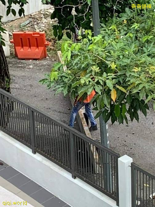 又一单！钢柱“从天而降”SUKE大道工程!