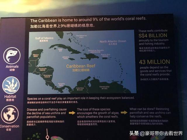 新加坡不枉此行的10大看点（中）分三集介绍