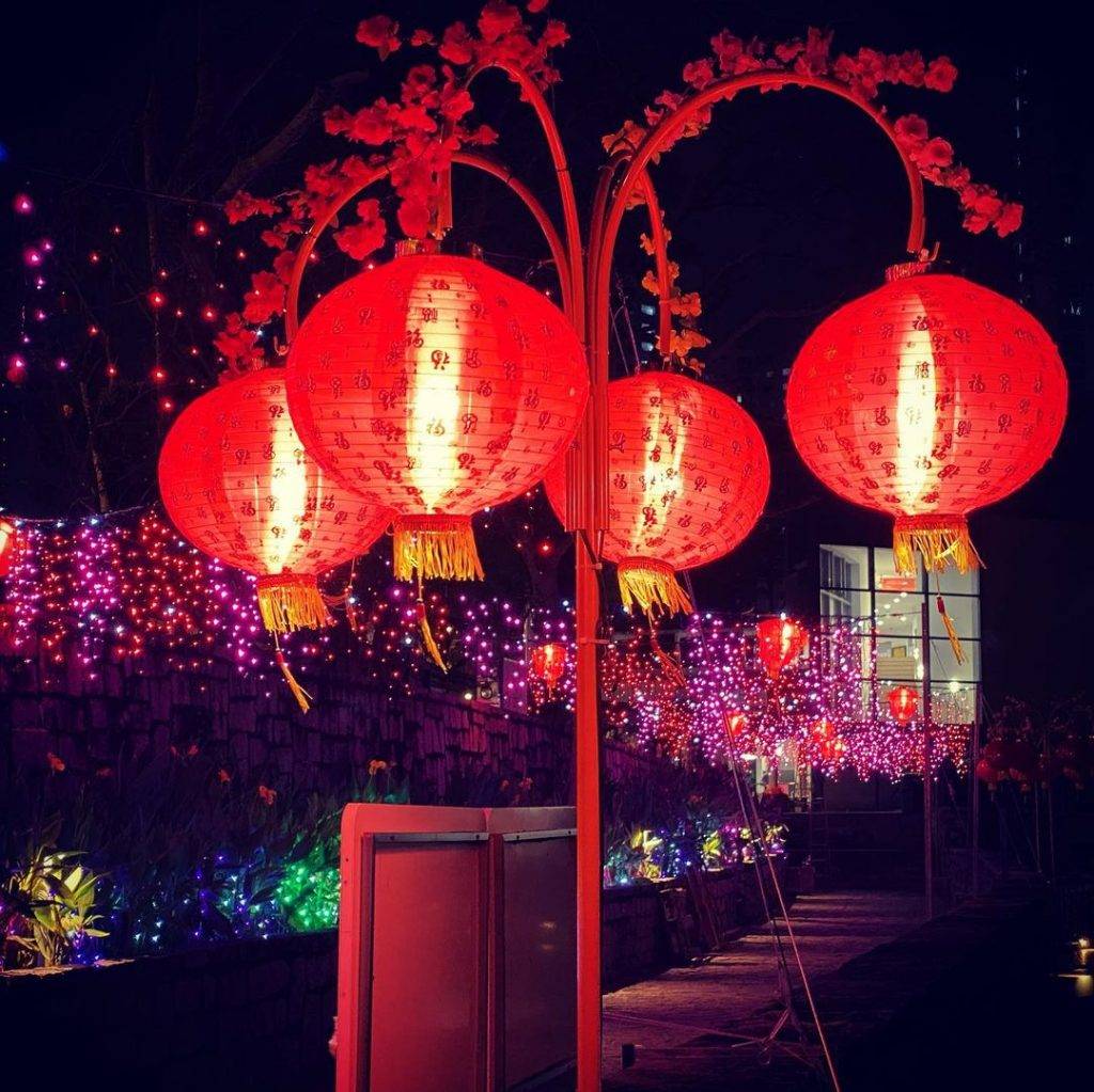 春节换装添喜气!Bukit Panjang浮动步道开启新春模式🧧气派灯笼阵、炫彩装饰亮灯啦