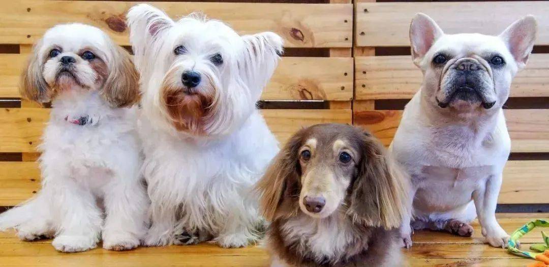 新加坡31个孩子超爱的假期活动+游玩攻略，1分不花也能玩