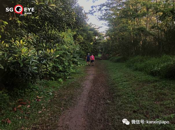 昨天小长假人山人海，武吉知马老铁路成新景点！前生今世大揭秘