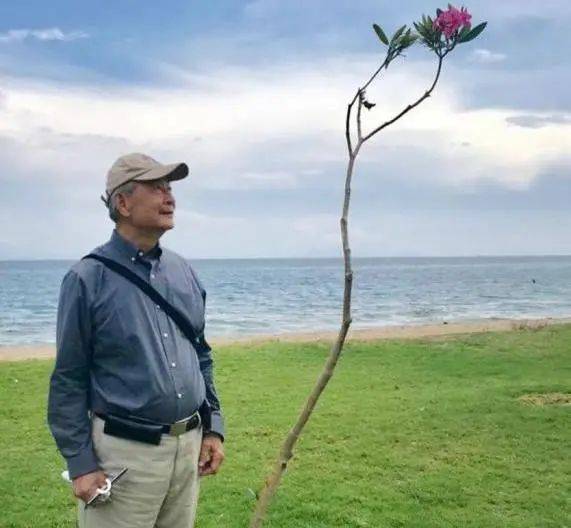 南洋理工大学设立捐赠基金纪念已故前副校长陈长宁教授