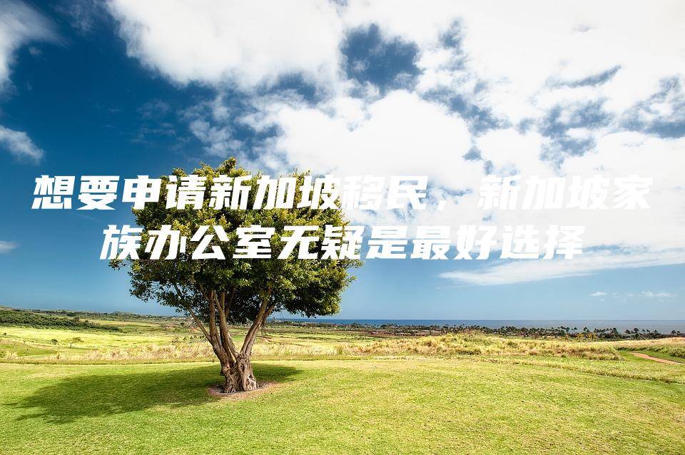 想要申请新加坡移民,新加坡家族办公室无疑是最好选择