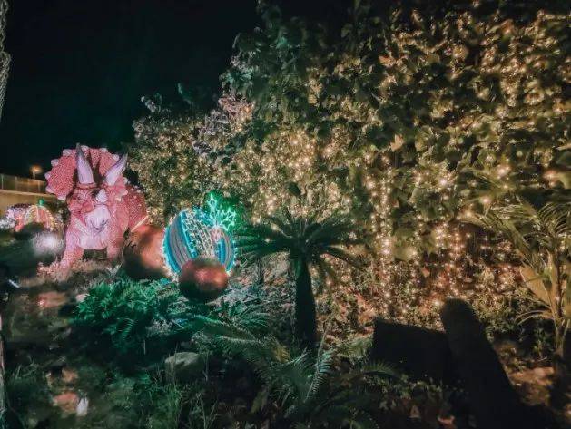 【周末去哪玩】圣诞仙境，植物园世界之树，圣淘沙海滩HelloKitty，闪耀星光灯光秀，等等等等