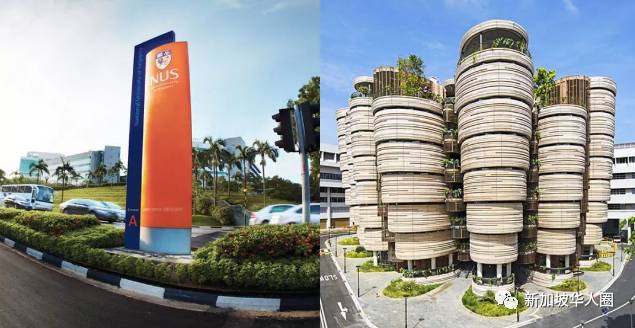 新加坡大学亚洲排名第一，超越清华！材料科学石油工程全球第一