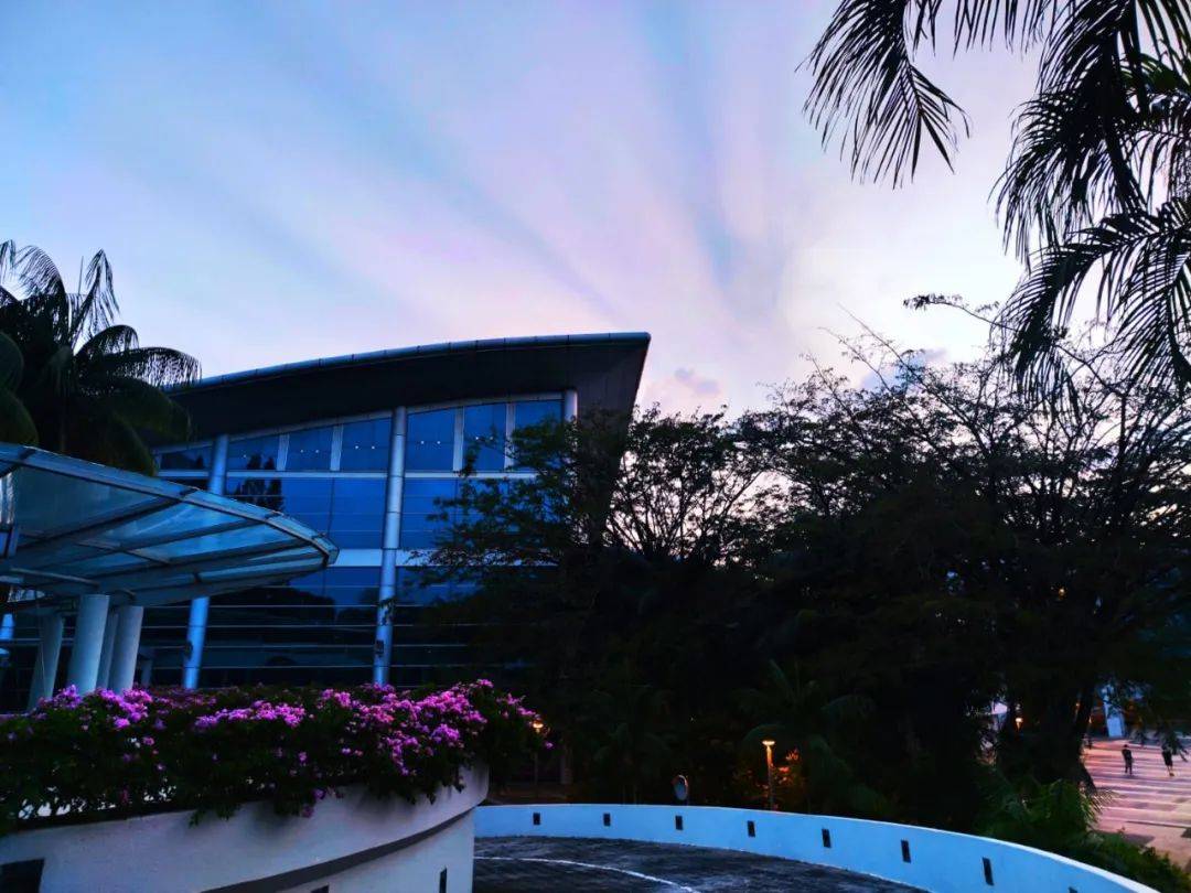 南洋理工大学，每一帧都很美